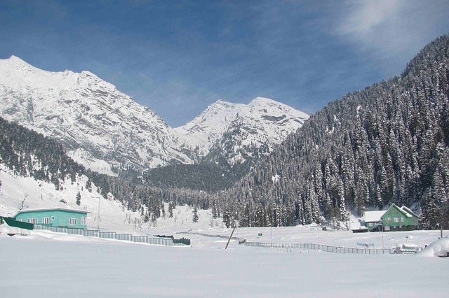 Royal Kashmir 4N5D MM Holidays