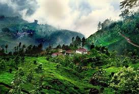 Mysore Coorg Holiday Package  MM Holidays